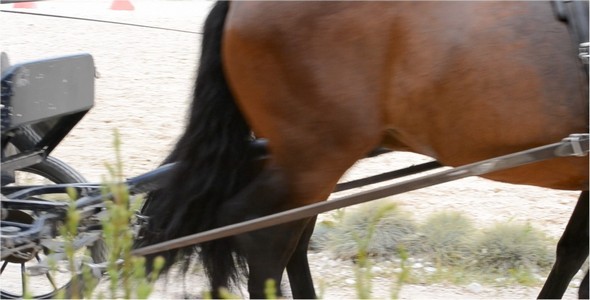 Training 2 Training 2