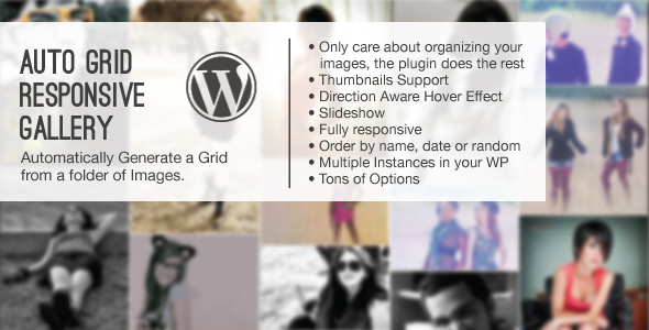 Auto Grid Responsive Gallery Wordpress Auto Grid Responsive Gallery Wordpress