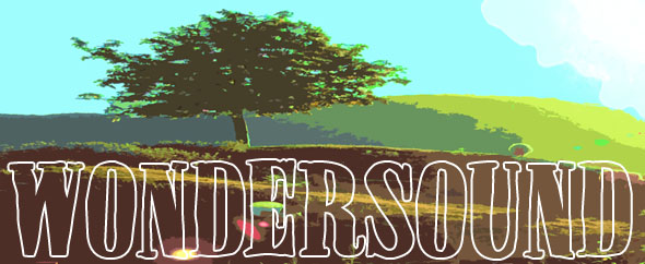 wondersound