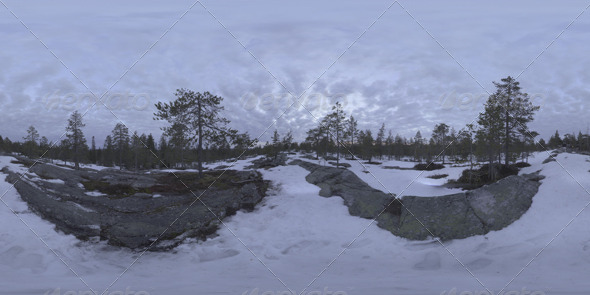 Nature HDRI - Northern Spring Forest - 3DOcean Item for Sale