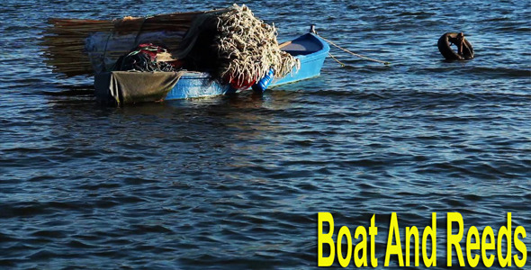 Boat And Reeds Boat And Reeds