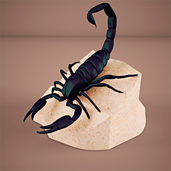 Scorpion Scorpion