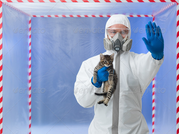 stop animal testing - Stock Photo - Images