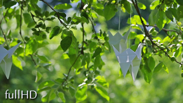 Origami Cranes in Garden Origami Cranes in Garden
