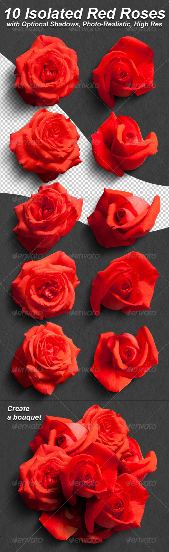 10 Photo-Realistic Isolated Red Roses 10 Photo-Realistic Isolated Red Roses