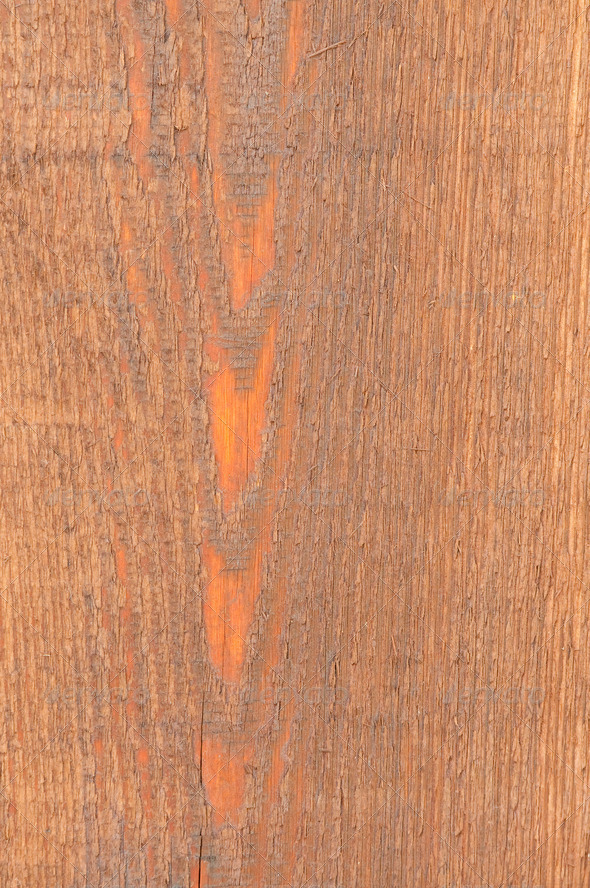 Cedar Wood texture close-up background