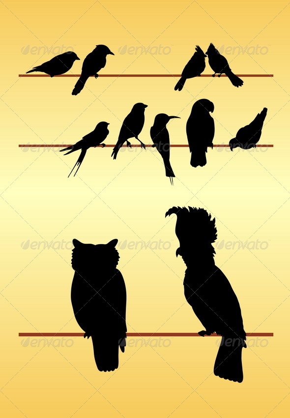 Bird Silhouettes - Animals Characters