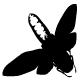 Ultinato