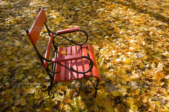 Red bench in the autumn