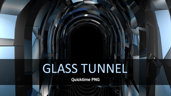 Glass Tunnel Loop Glass Tunnel Loop