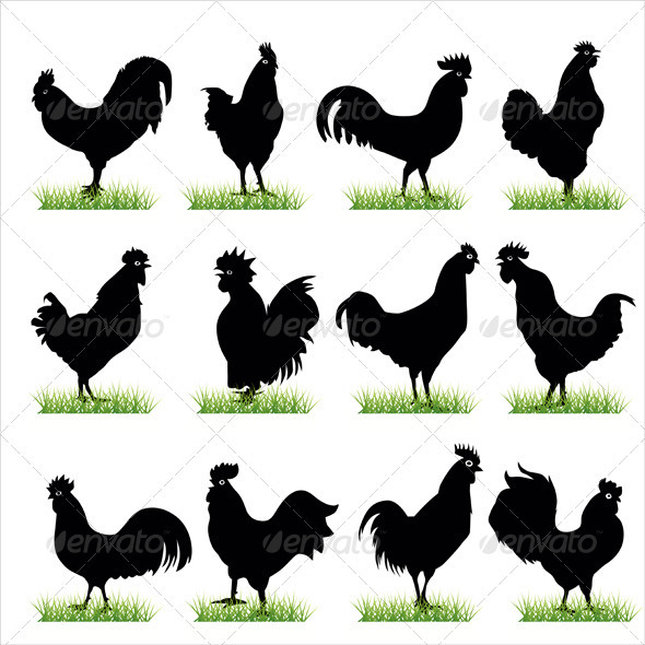 game rooster clipart - photo #35