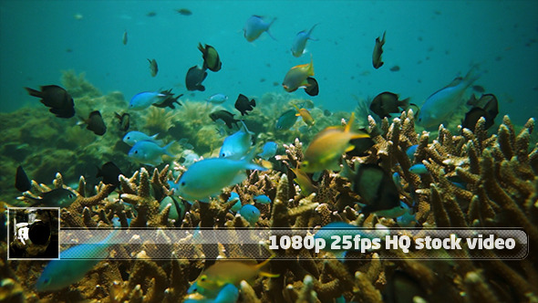 Underwater World 2 Underwater World 2