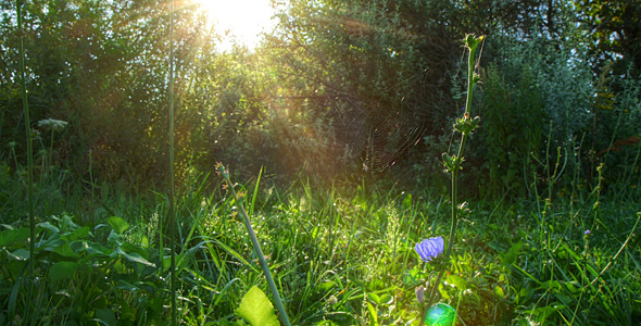 Sunrise Meadow Time Lapse 2 Sunrise Meadow Time Lapse 2