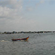 imysho