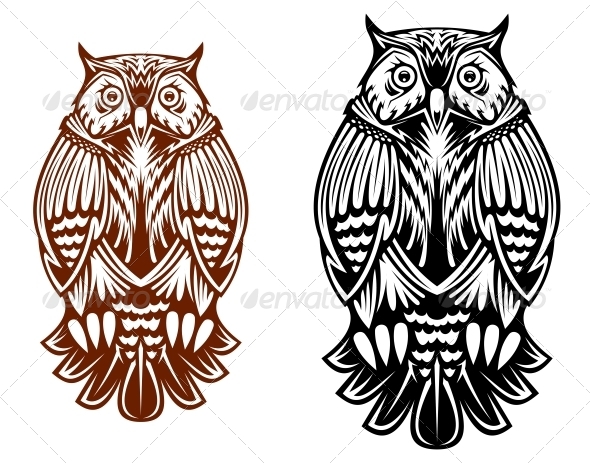 Owl Owl