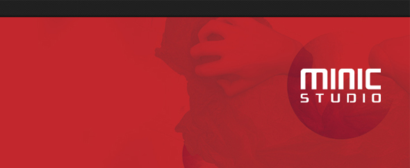 minicthemes