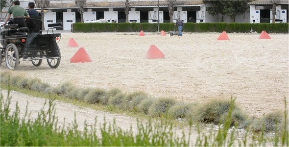 Training Training