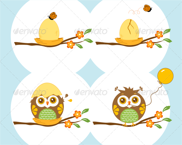 Little Owl Birth Little Owl Birth