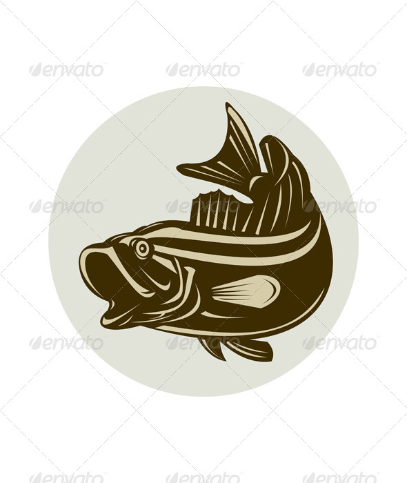 Largemouth Bass Jumping Largemouth Bass Jumping