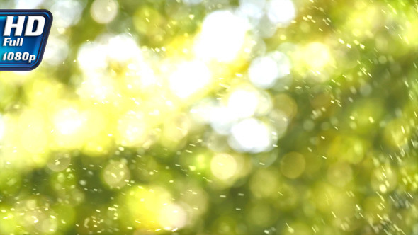 Solar Pollen Solar Pollen