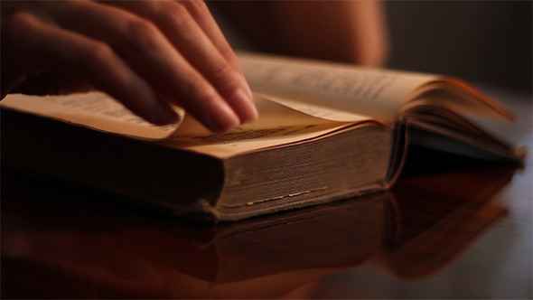 Woman Searches An Old Book Woman Searches An Old Book