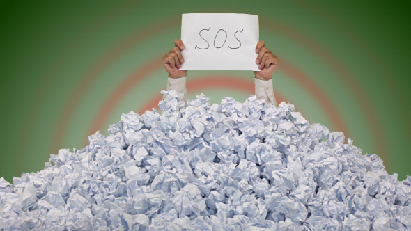 SOS Alpha Channel Is Included SOS Alpha Channel Is Included