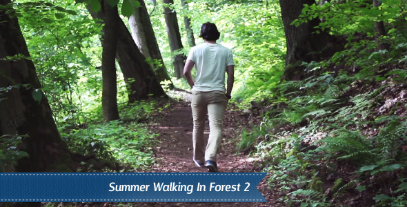 Walking Forest Walking Forest