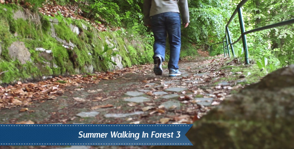 Walking Forest Walking Forest