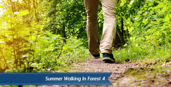 Walking Forest Walking Forest