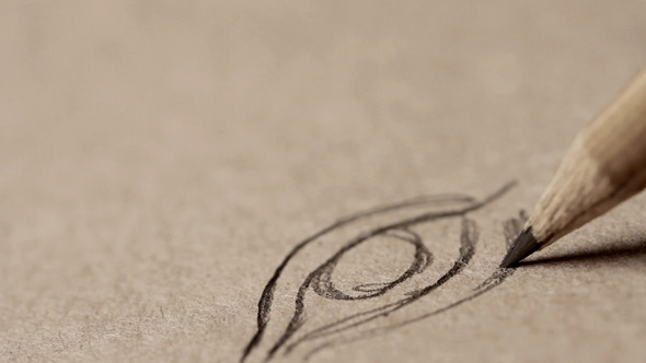 Pencil Drawing Pencil Drawing