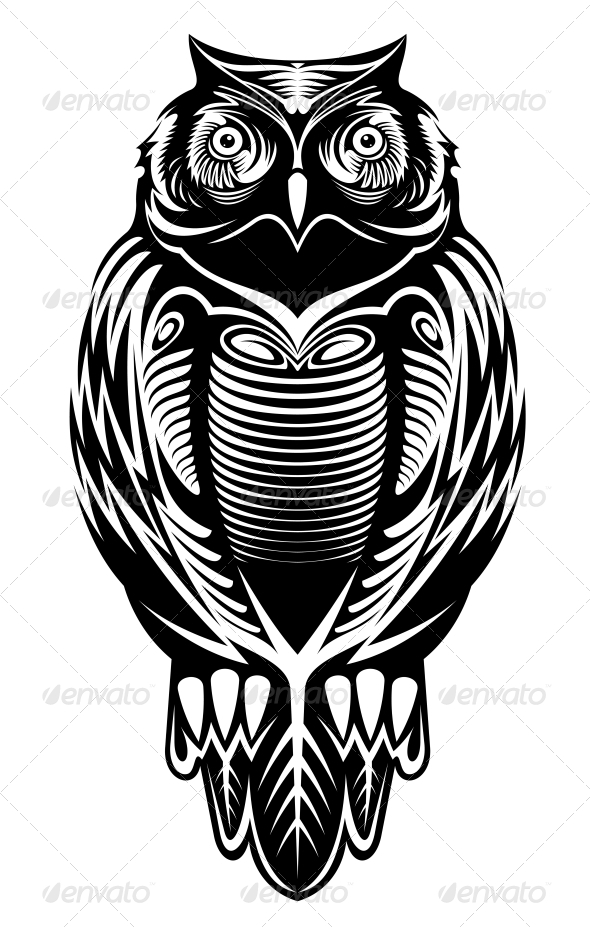Majestic Owl Majestic Owl