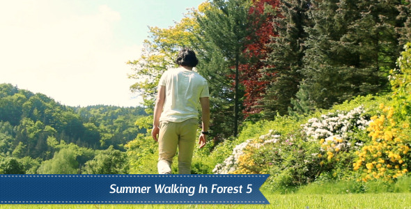 Walking Forest Walking Forest