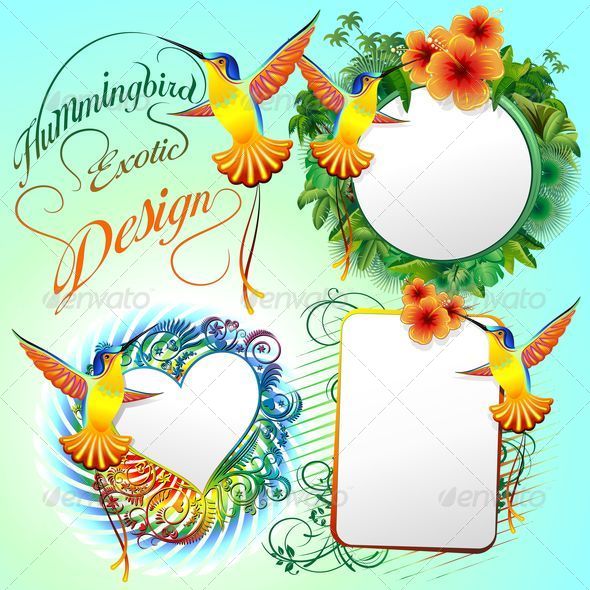 Hummingbird Exotic Designs Hummingbird Exotic Designs