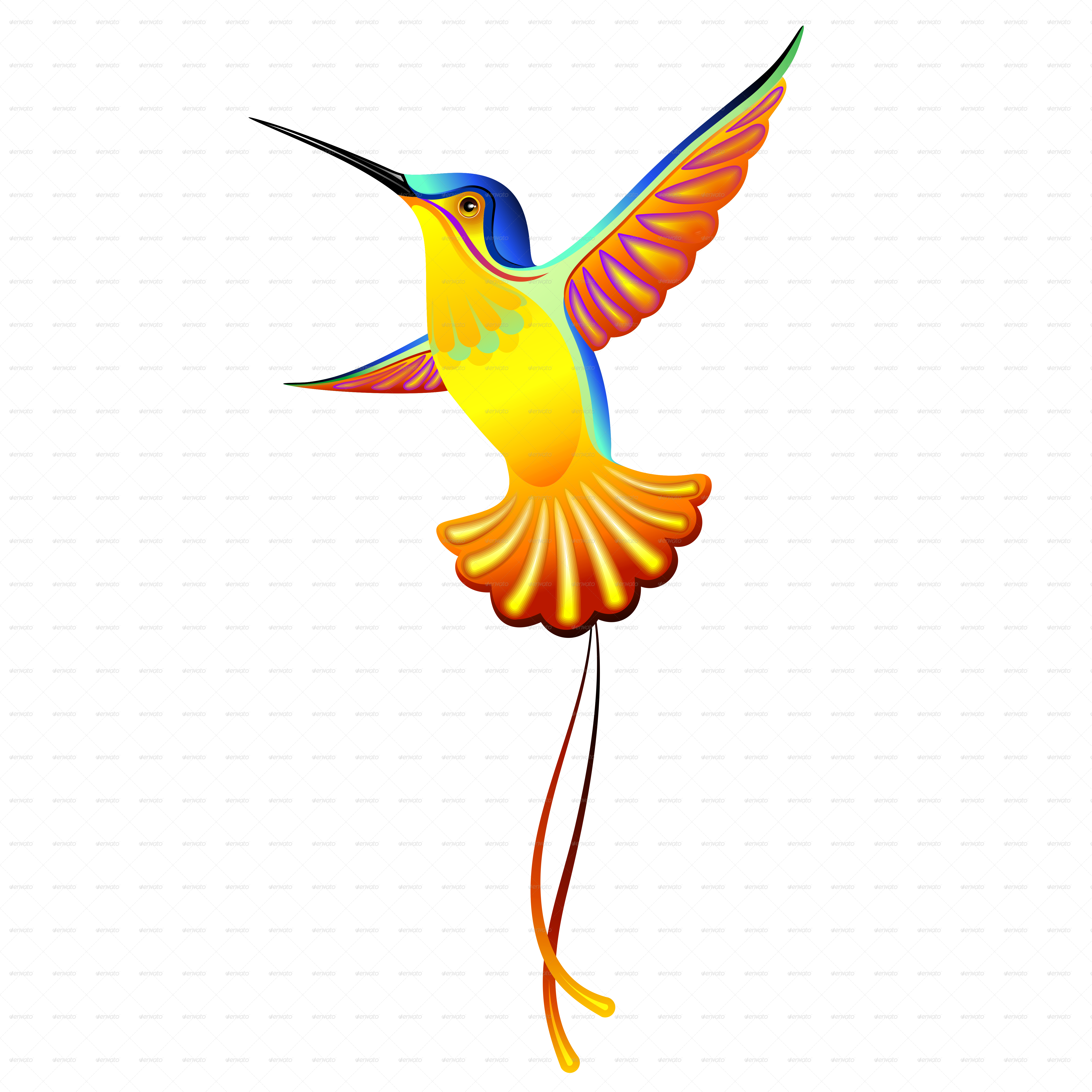 hummingbird exotic designs by bluedarkat graphicriver hummingbird exotic designs by bluedarkat graphicriver
