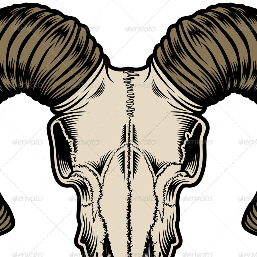 goat vector skull Skull by  GraphicRiver Vector Goat vectorfreak