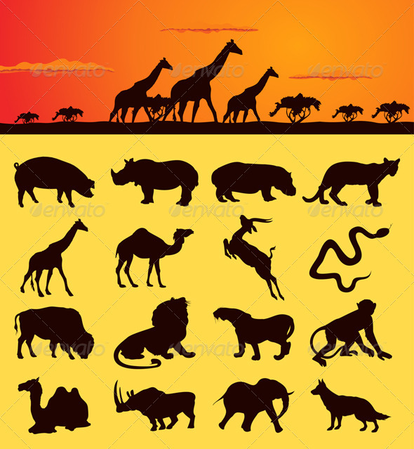 african animals2 graphicriver african animals2 graphicriver