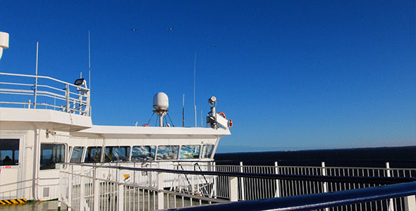Seagulls Over The Ship Seagulls Over The Ship