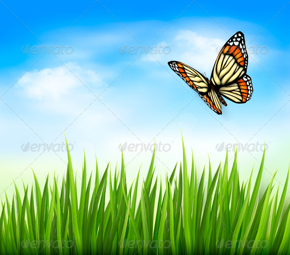 Nature Background with Green Grass and Butterfly Nature Background with Green Grass and Butterfly