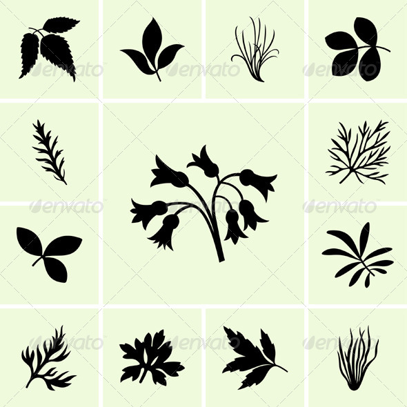 Leaves Leaves