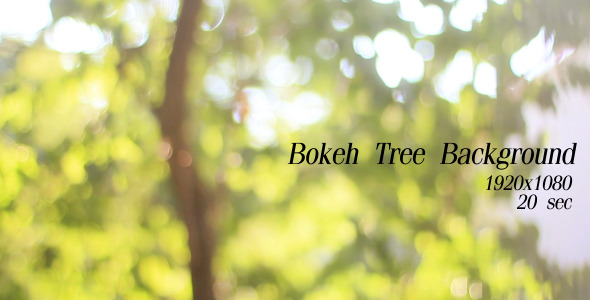 Bokeh Tree Background 2 Bokeh Tree Background 2