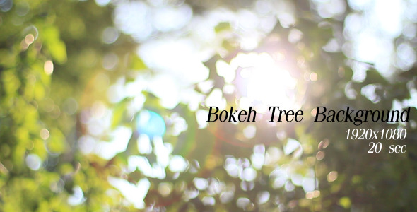 Bokeh Tree Background 3 Bokeh Tree Background 3