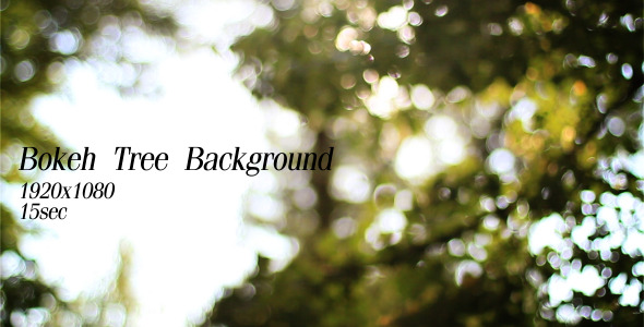 Bokeh Tree Background 4 Bokeh Tree Background 4