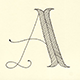 Arlin