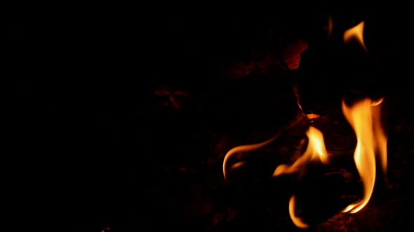 Wood Burning Wood Burning