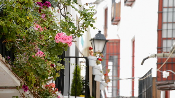 Balconies in Andalusia Spain Balconies in Andalusia Spain