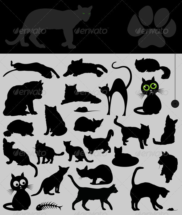 Collection of cats Collection of cats