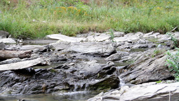 River River
