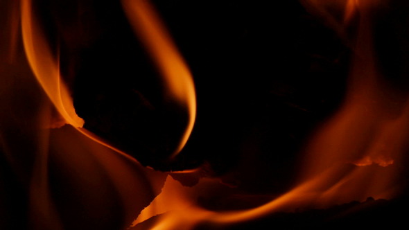 Fireplace Wood Burning Fireplace Wood Burning