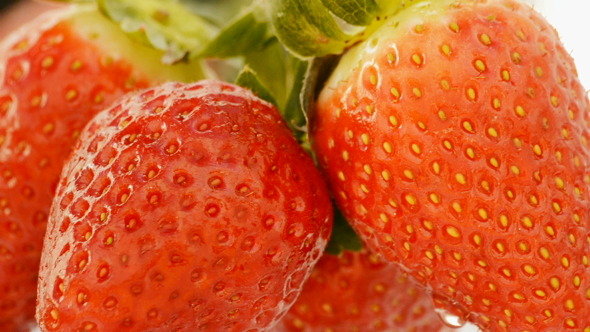 Delicious Strawberries Close Up Loop Delicious Strawberries Close Up Loop