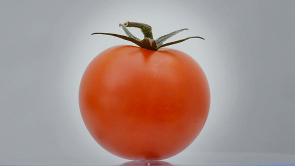 Tomatoe Cherry Rotating Tomatoe Cherry Rotating